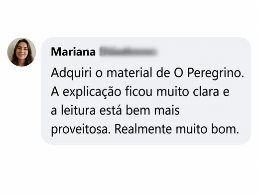 Feedback de Mariana sobre O Peregrino Explicado